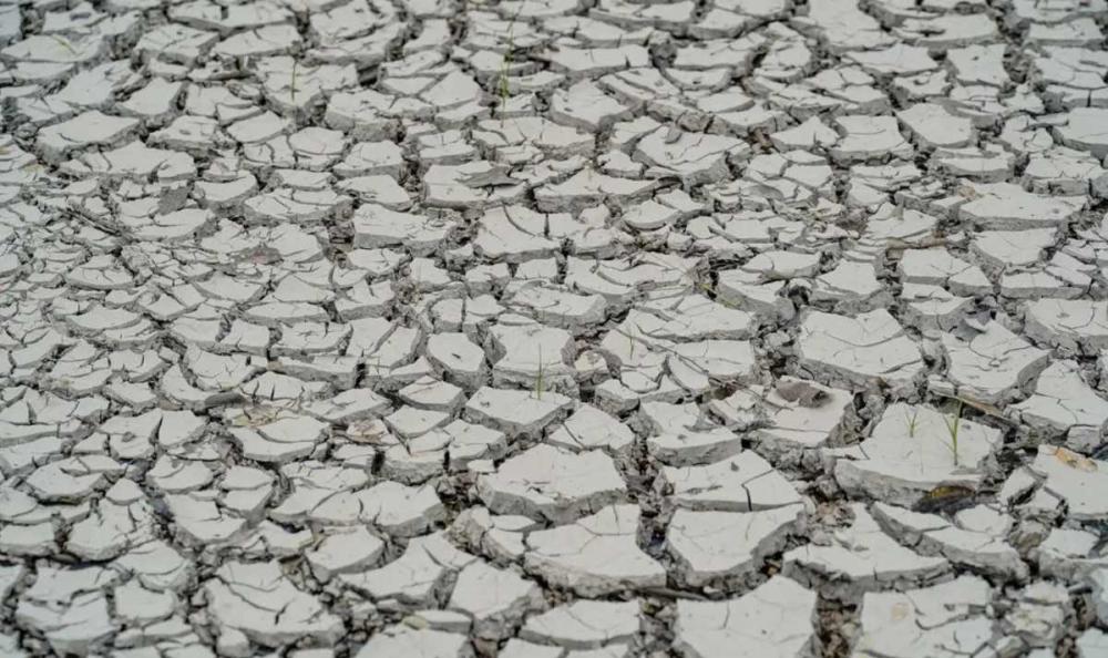 Seca: 106 municípios pernambucanos estão em situação de emergência